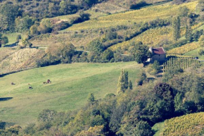 Les Billardes - le gite - Jura, Gizia